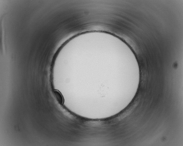 X0000100411134200807032031