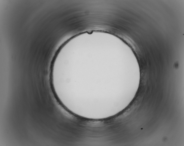 X0000100411135200807032031