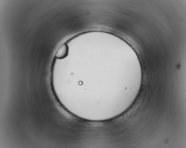 X0000100411136200807032031