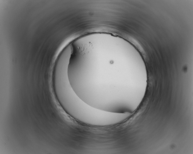 X0000100411138200807032031