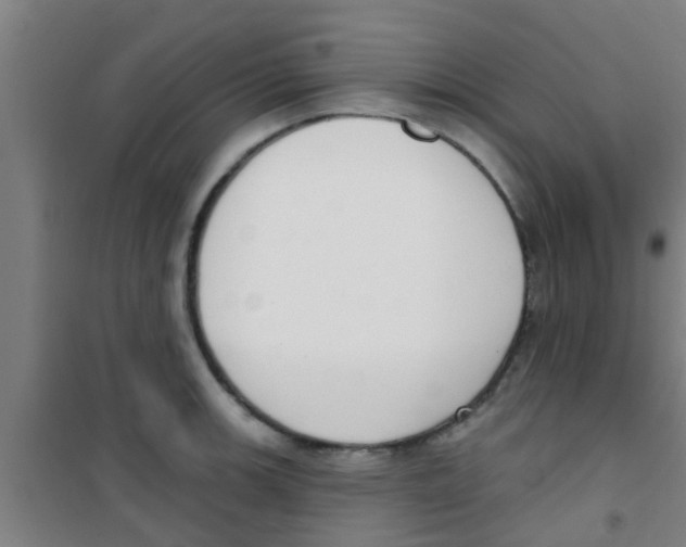 X0000100411139200807032031