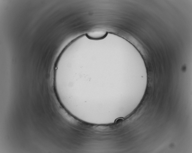 X0000100411140200807032031