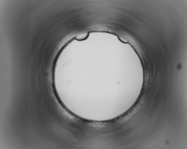 X0000100411141200807032031