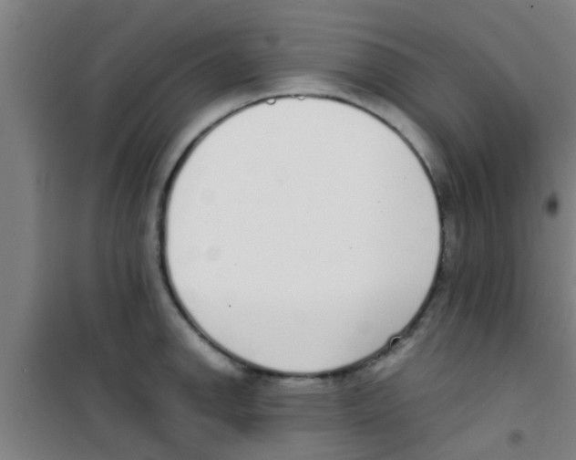 X0000100411142200807032031