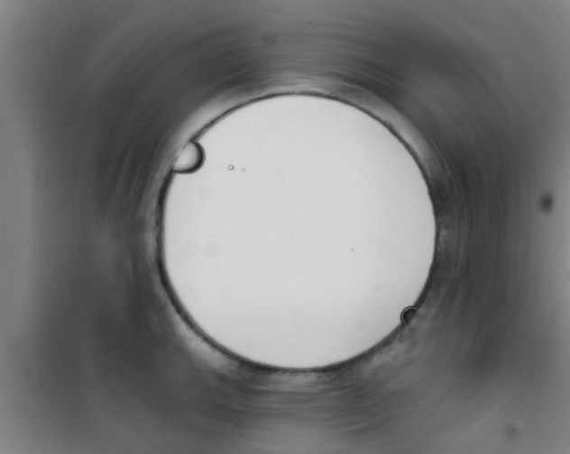 X0000100411143200807032031