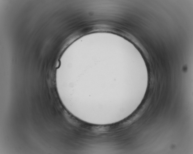 X0000100411145200807032031