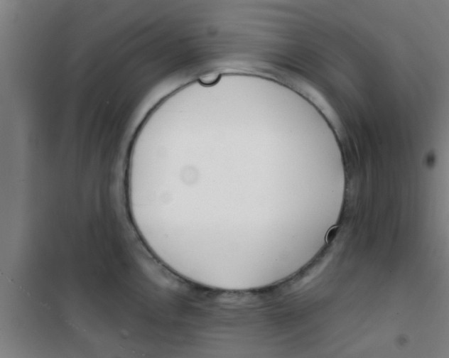 X0000100411146200807032031