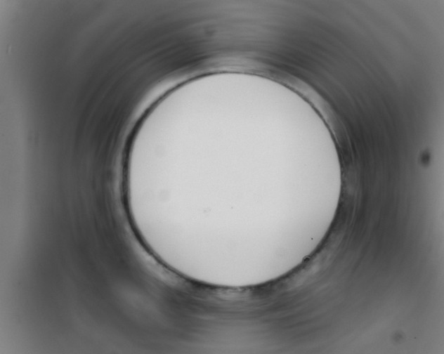 X0000100411147200807032031