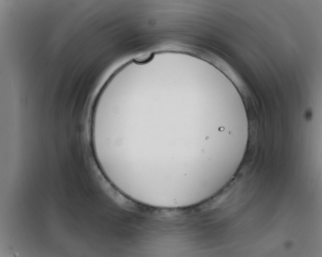 X0000100411148200807032032