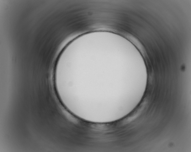 X0000100411149200807032032