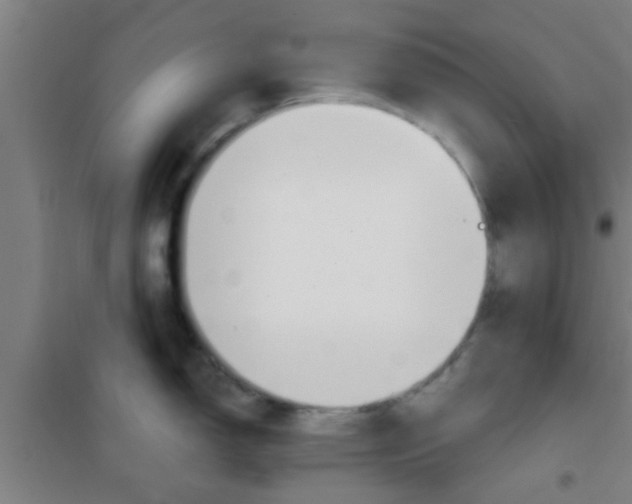 X0000100411150200807032032