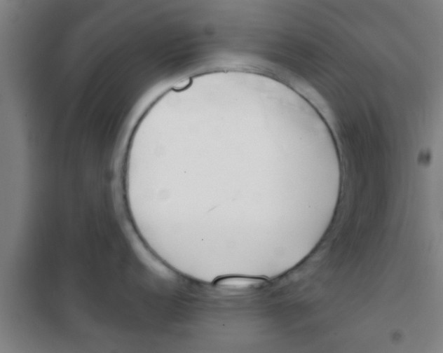 X0000100411152200807032032