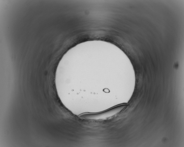 X0000100411153200807032031