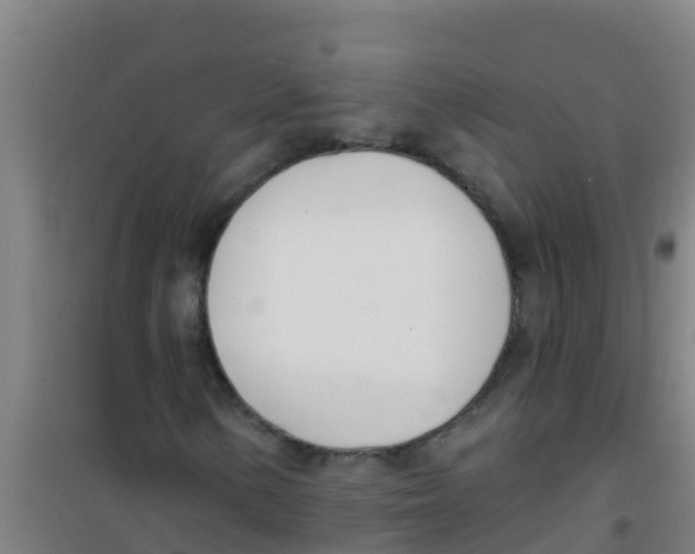 X0000100411154200807032031