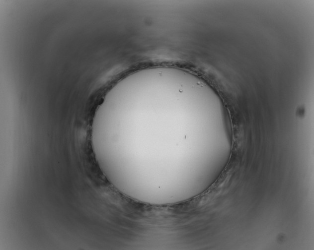 X0000100411157200807032031