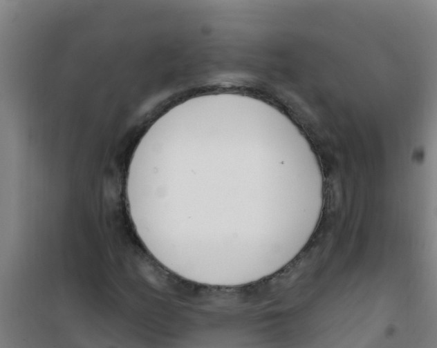 X0000100411158200807032031