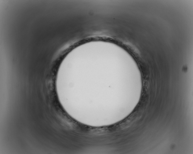 X0000100411159200807032031