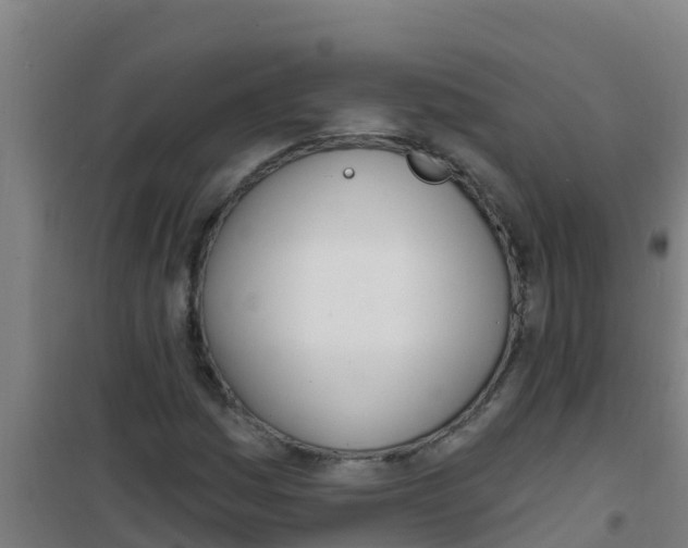 X0000100411161200807032031