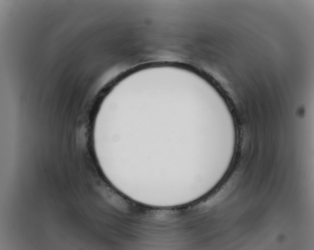 X0000100411163200807032031