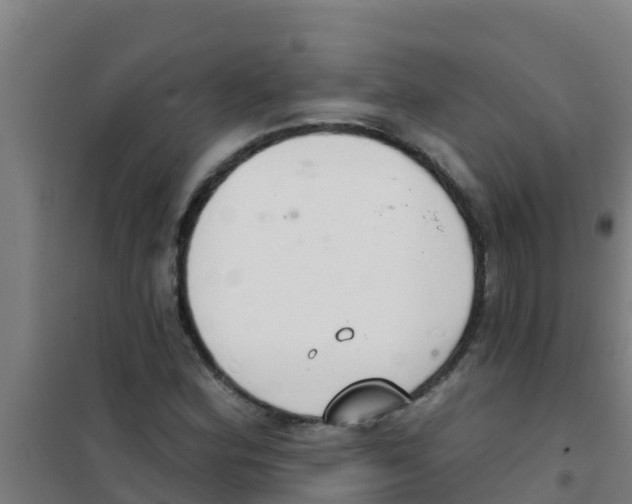 X0000100411164200807032031
