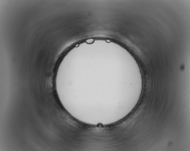 X0000100411166200807032031