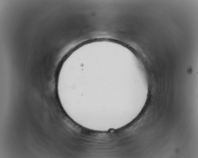 X0000100411167200807032031