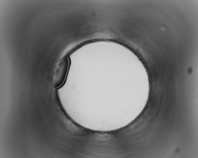 X0000100411168200807032031