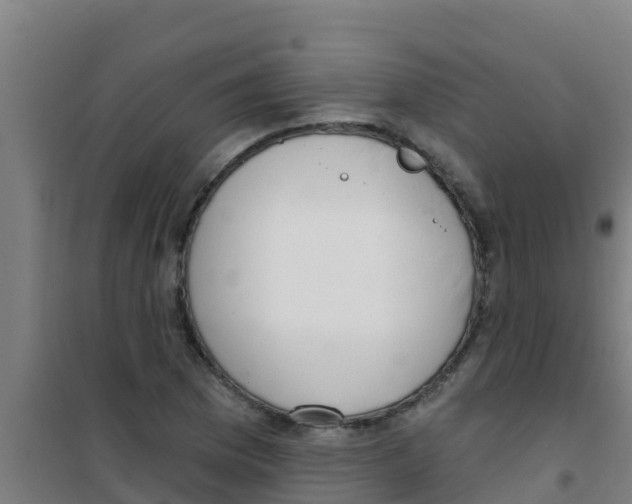 X0000100411169200807032031