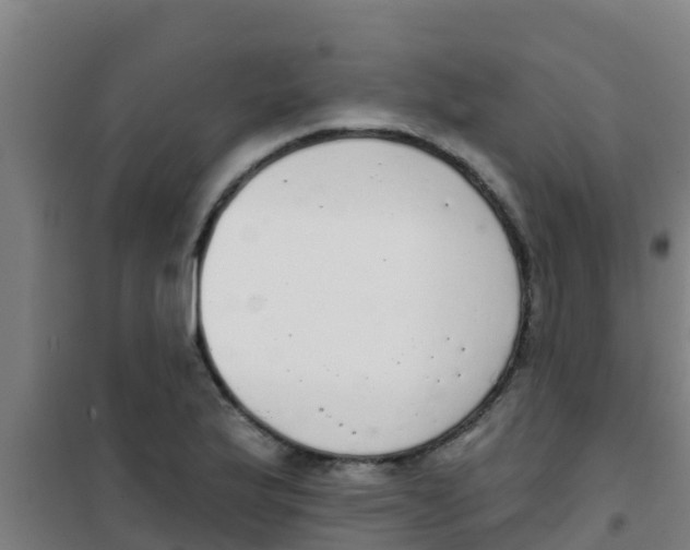 X0000100411175200807032030