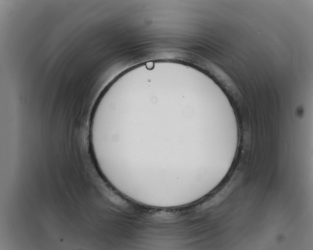 X0000100411178200807032030