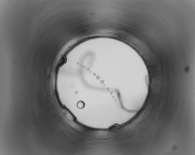 X0000100411180200807032030