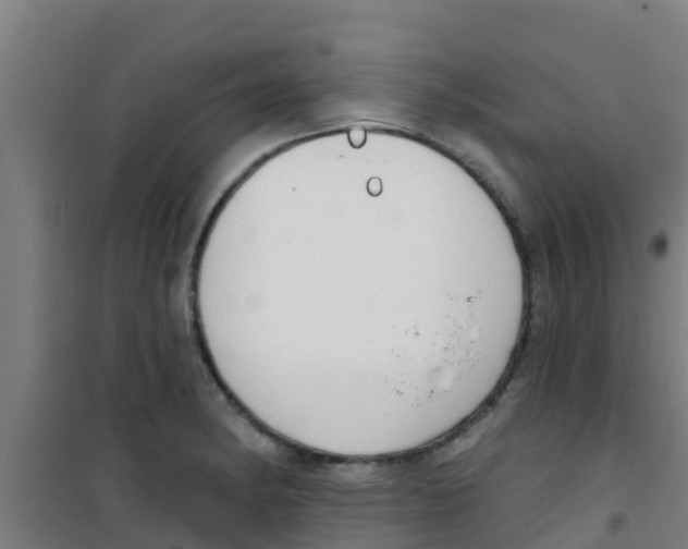 X0000100411182200807032030