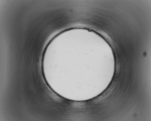 X0000100411183200807032030