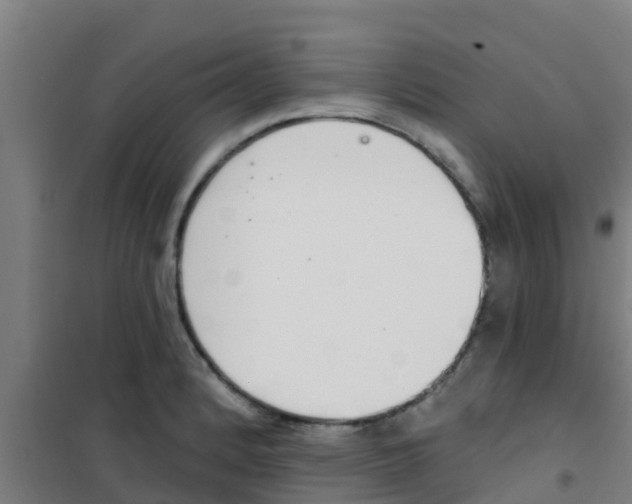 X0000100411184200807032030
