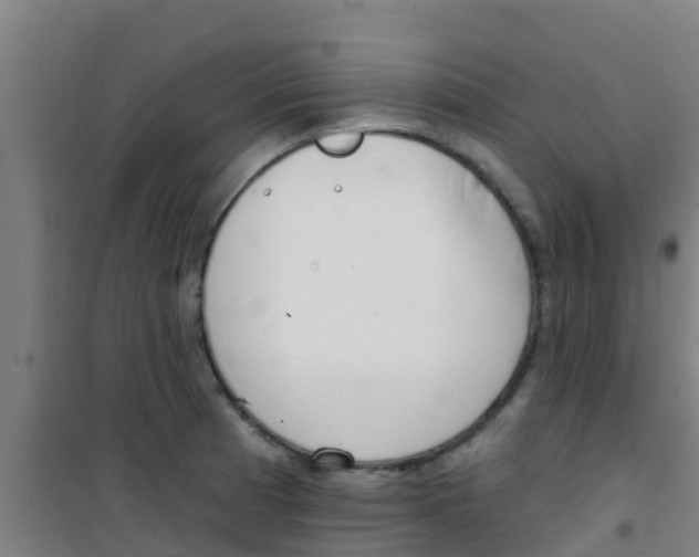 X0000100411185200807032030