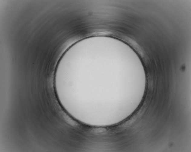X0000100411186200807032030