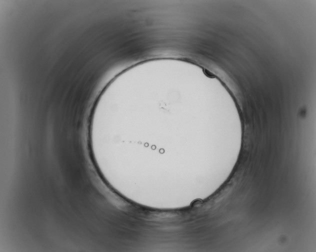 X0000100411187200807032030