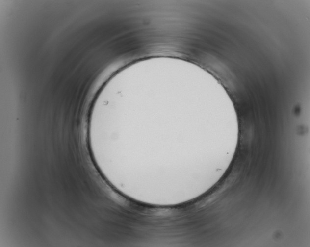 X0000100411188200807032030