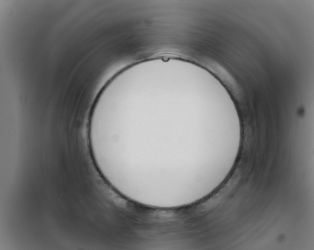 X0000100411190200807032030