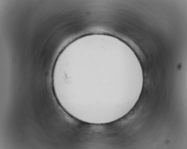 X0000100411191200807032030