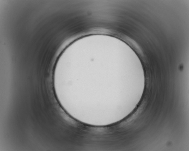 X0000100411192200807032030