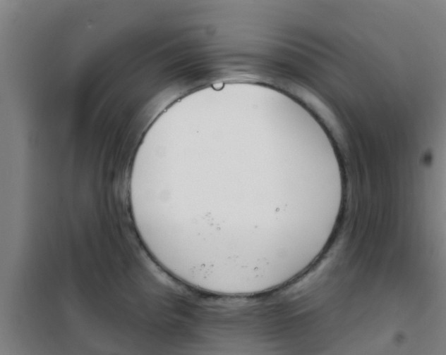 X0000100411193200807032030