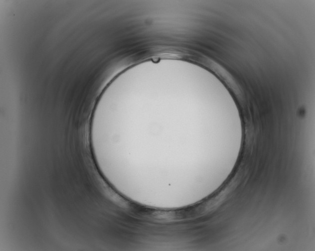 X0000100411194200807032030