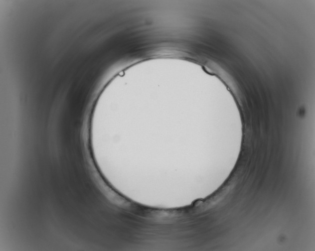 X0000100411195200807032030