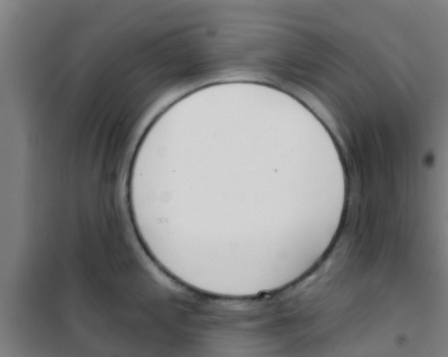 X0000100411197200807032030