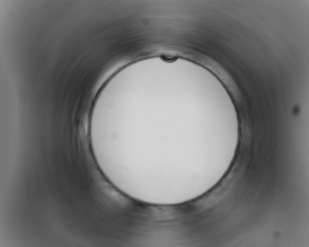 X0000100411198200807032030