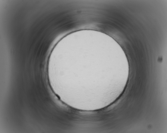 X0000100411200200807032030