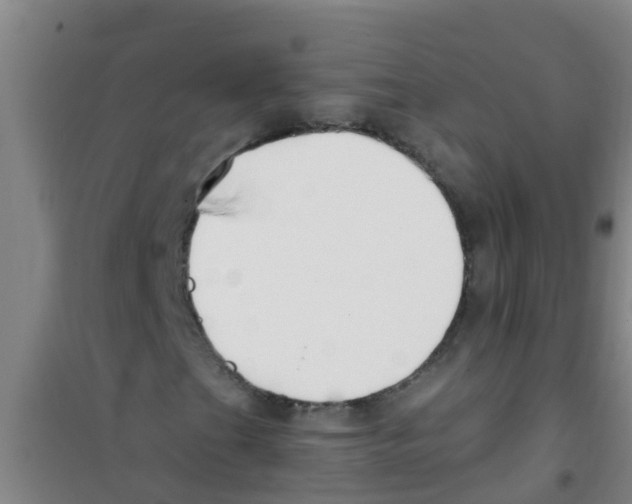 X0000100411201200807032029