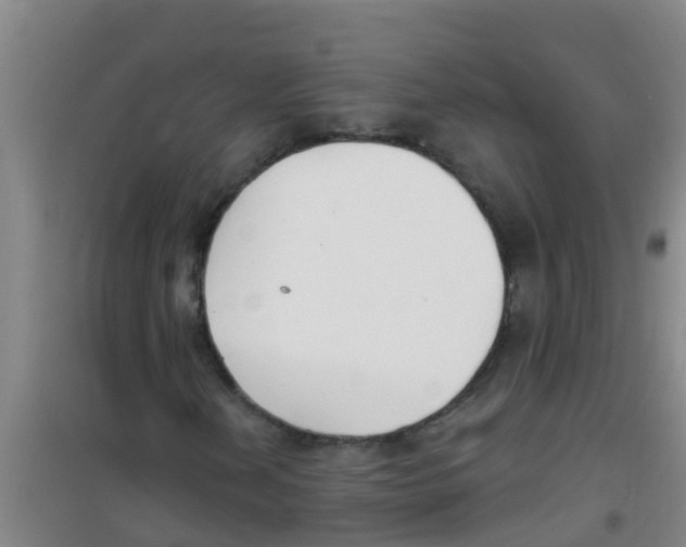 X0000100411202200807032029