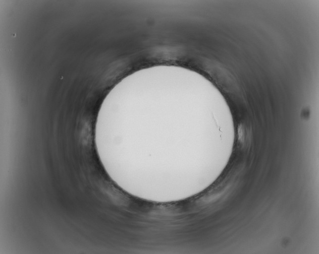X0000100411203200807032029